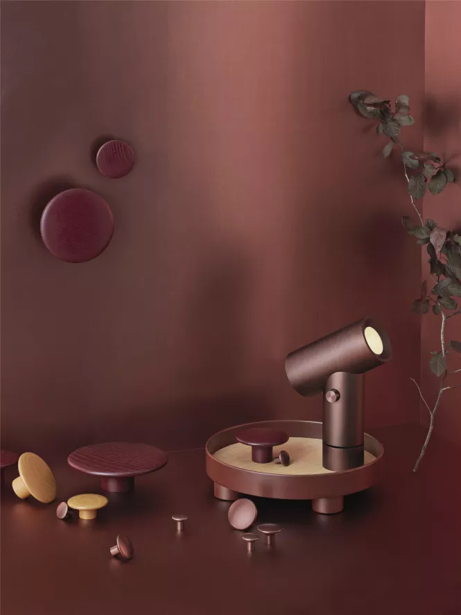 Muuto The Dots Haak Ø17 Burnt Orange 22 Muuto The Dots Haak Ø17 Burnt Orange - Afbeelding 20