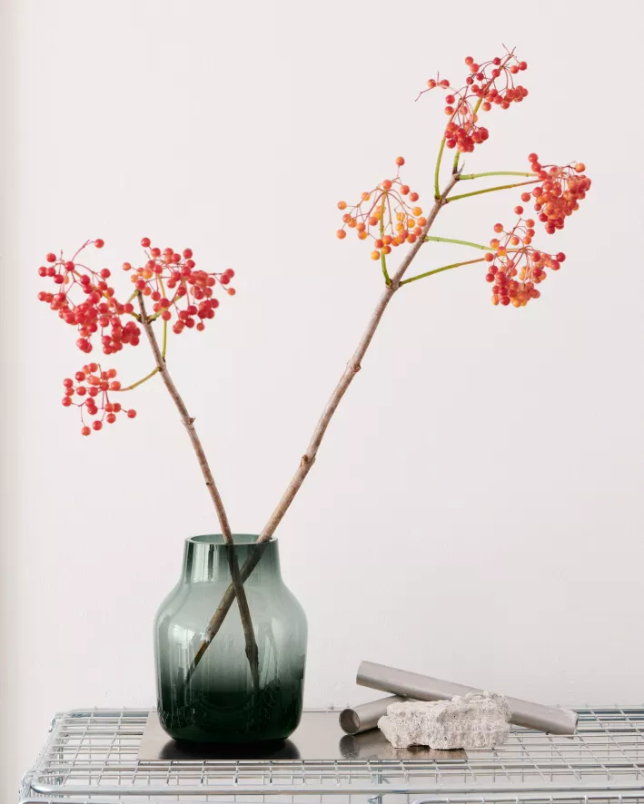 Muuto Silent Vaas 15 Dark Green 8 Muuto Silent Vaas 15 Dark Green - Afbeelding 6