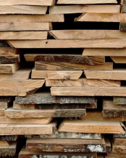 Muuto The Dots Haak Ø6.5 Burnt Orange 27 Muuto The Dots Haak Ø6.5 Burnt Orange -Muuto x886x886 muuto the dots haak 5 stuks9.jpg.pagespeed.ic .FkPhnSvlLT 9